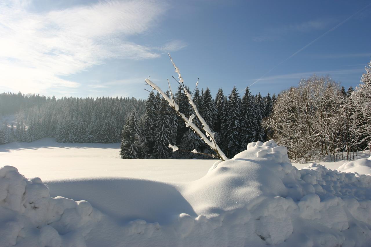 Jeleni Chata Skladanka Lučany nad Nisou المظهر الخارجي الصورة